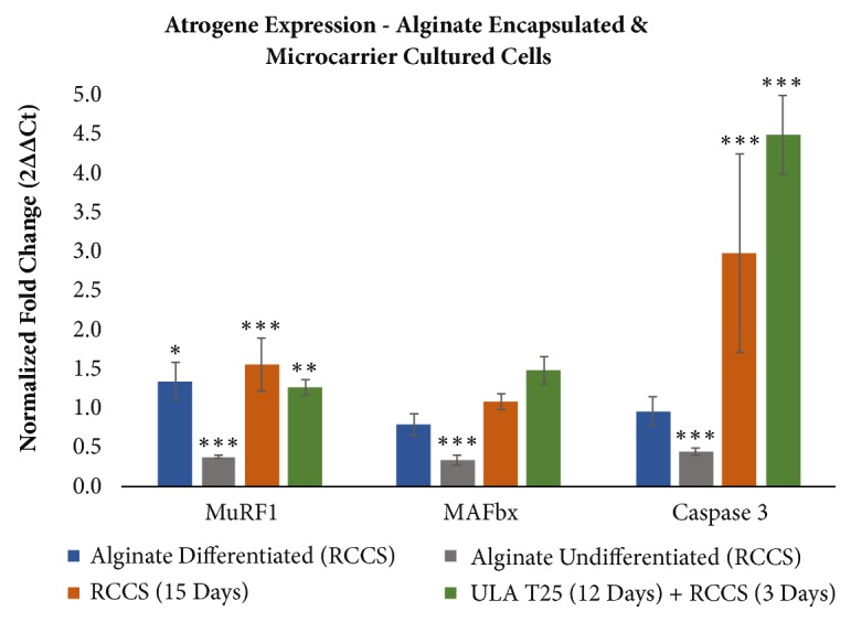 Muscle Atrophy Marker Expression Differs between Rotary Cell Culture System and Animal Studies.